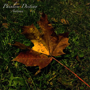 欧洲美色zccz欧美
